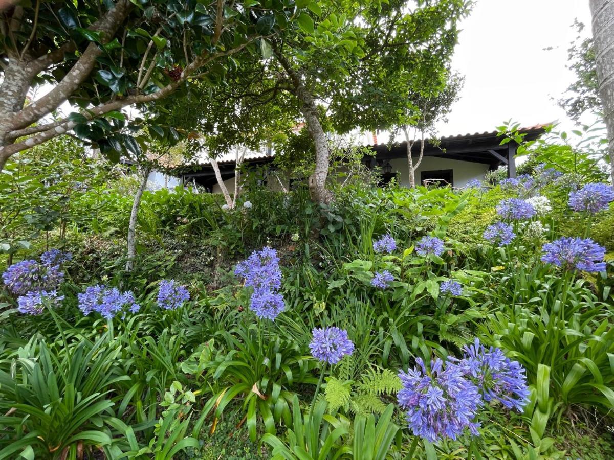 Casas De Campo Do Pomar B&B - Self Check-In Santana  Exterior foto