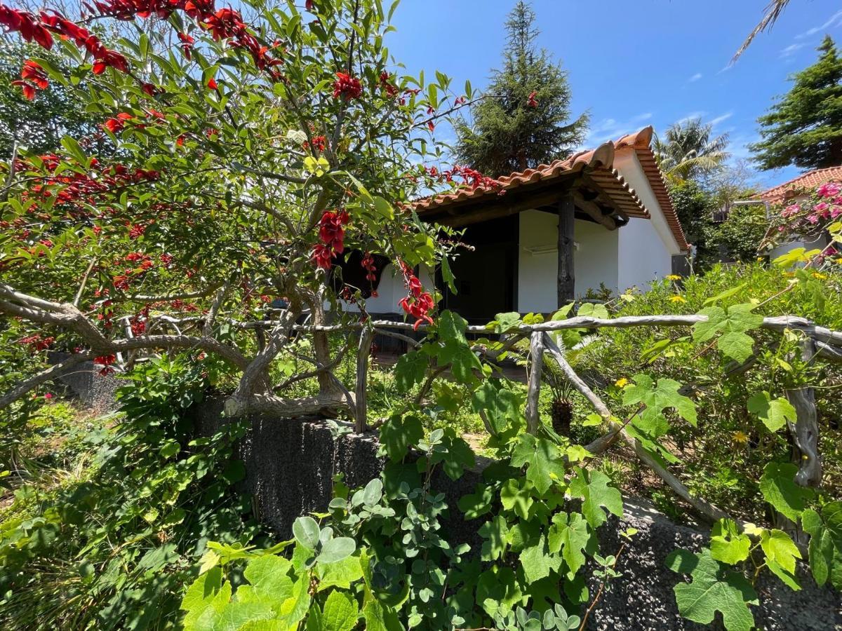 Casas De Campo Do Pomar B&B - Self Check-In Santana  Exterior foto