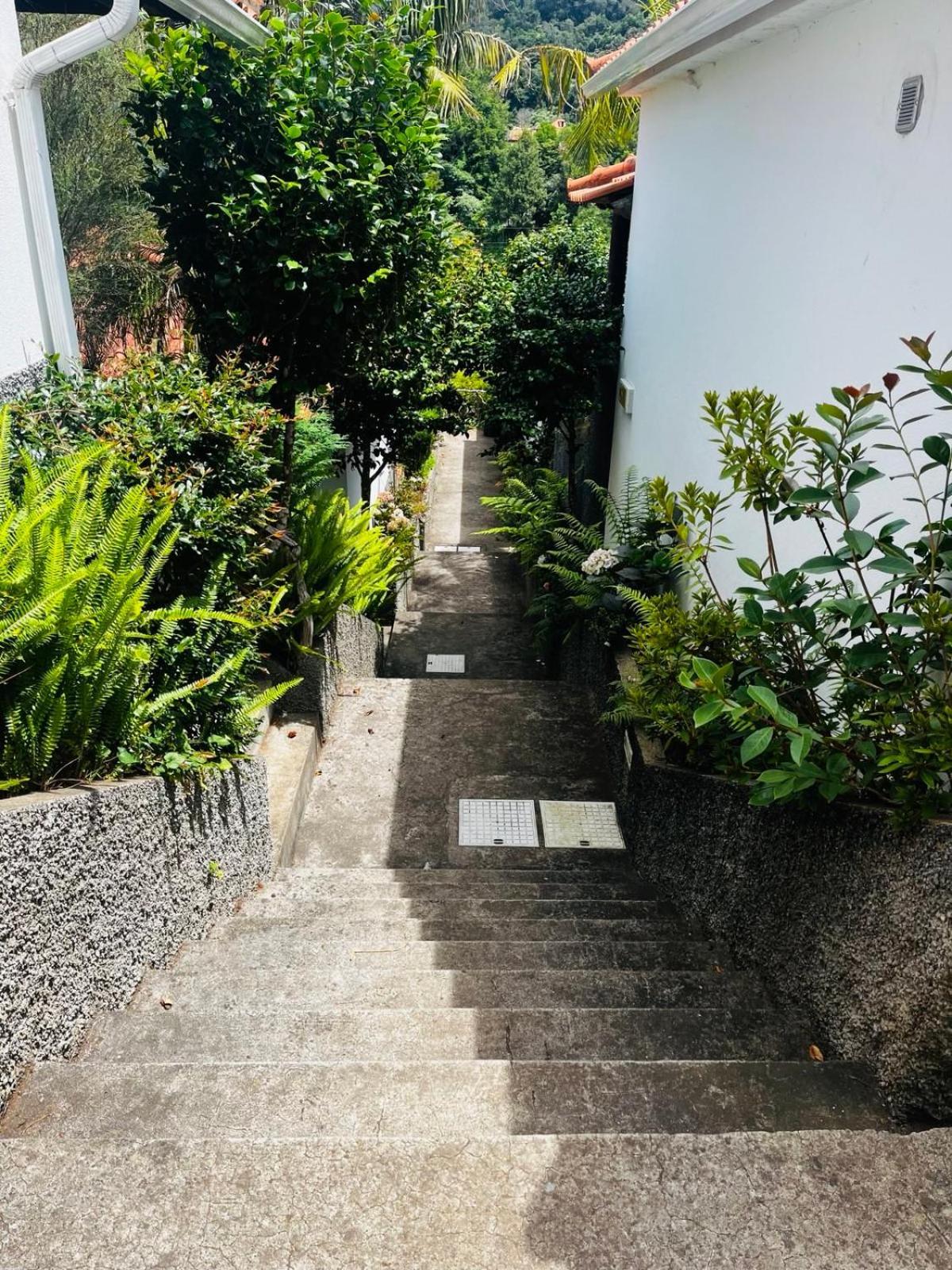 Casas De Campo Do Pomar B&B - Self Check-In Santana  Exterior foto